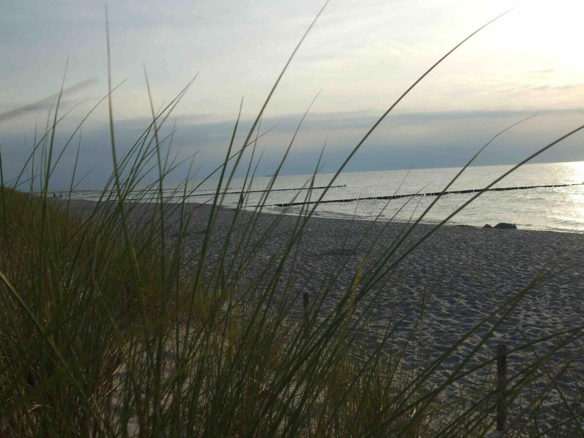 Discovair Graal Mueritz -Haus Quisisana- Strandnah Mit Netflix Phòng bức ảnh